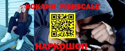 крисы Кингисепп