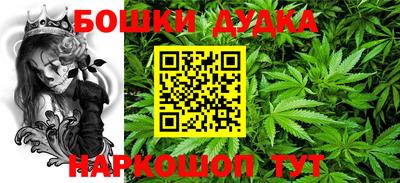 спиды Камышлов