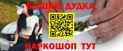 крисы Кингисепп