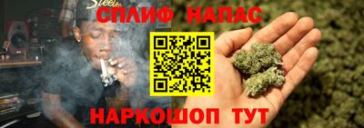 дмт Канаш