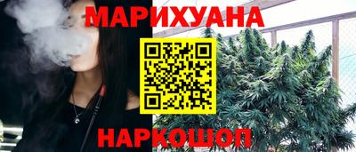 крисы Кингисепп